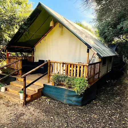 New Camping Coccorrocci Marina di Gairo Exterior photo