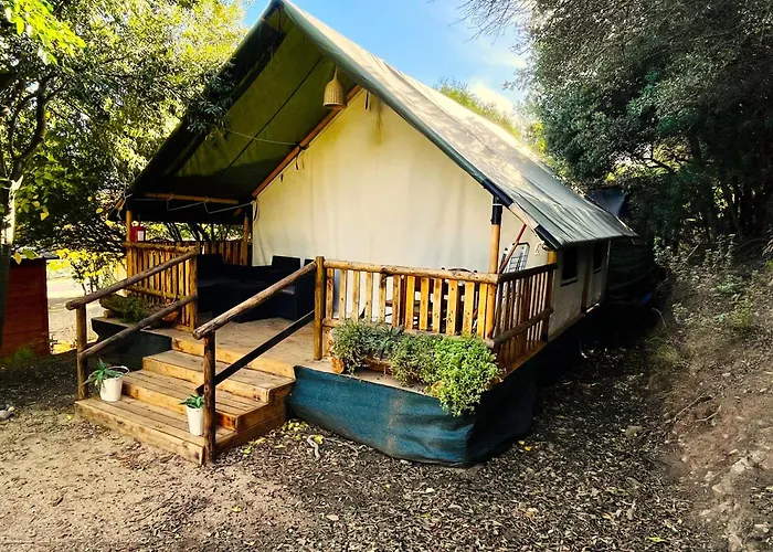 New Camping Coccorrocci