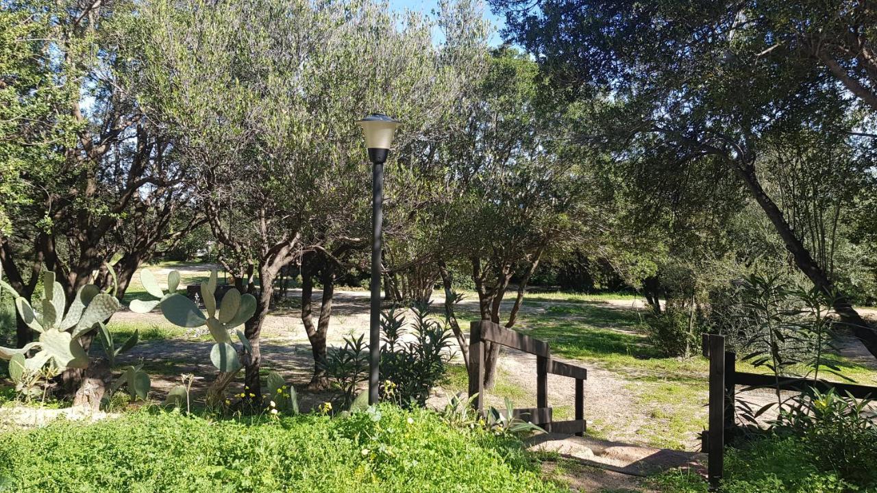 New Coccorrocci