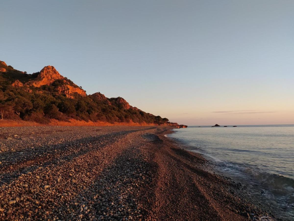 Campsite New Coccorrocci *