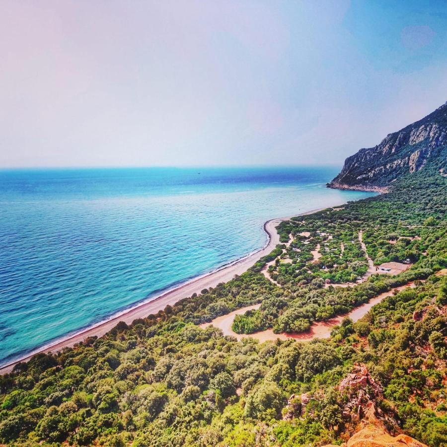New Coccorrocci Camping *