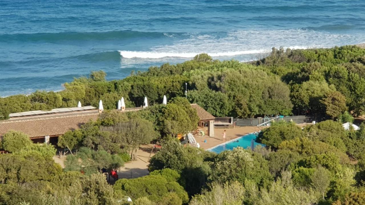 New Coccorrocci *