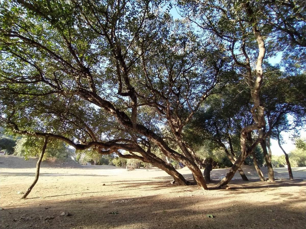 Campsite New Coccorrocci Marina di Gairo