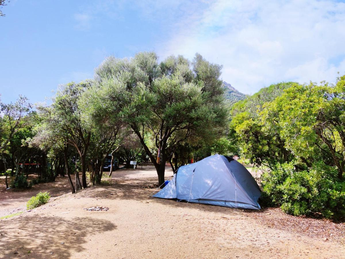 New Coccorrocci Marina di Gairo