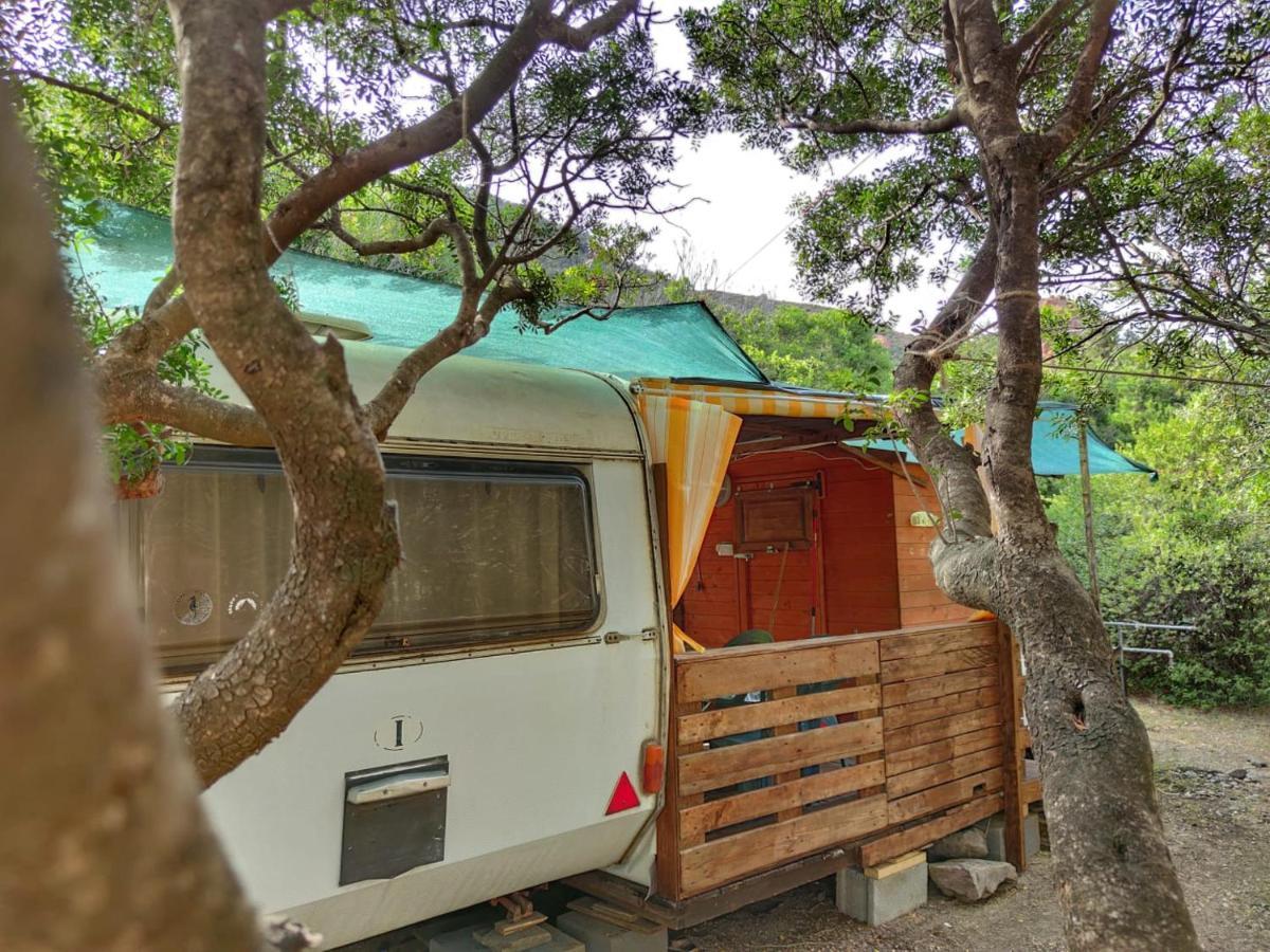 New Coccorrocci Campsite