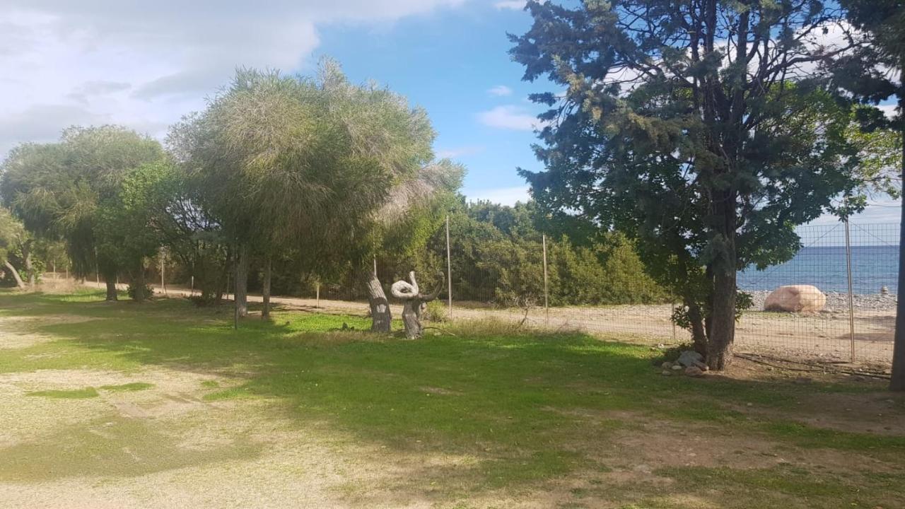 Campsite New Coccorrocci