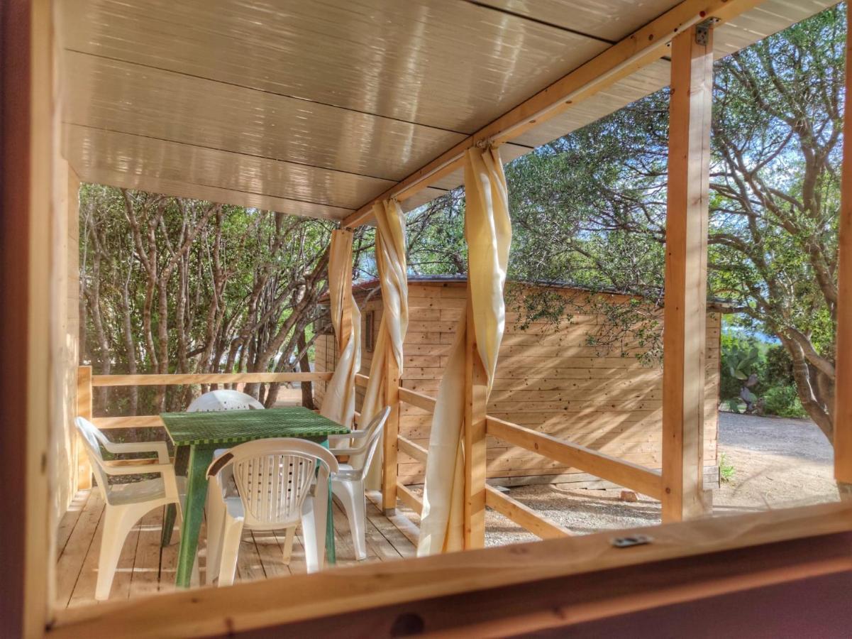 New Coccorrocci Campsite *