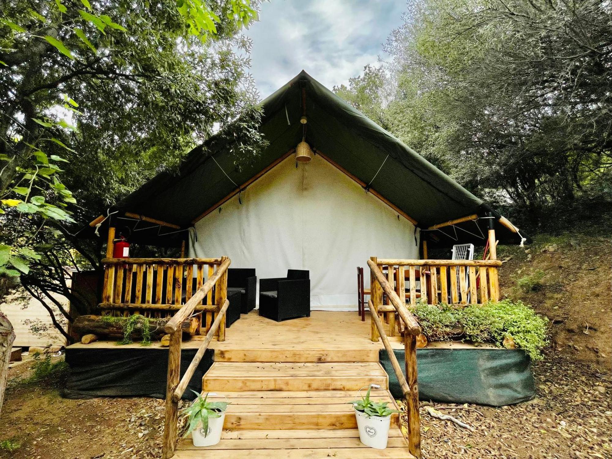 Campsite New Coccorrocci *