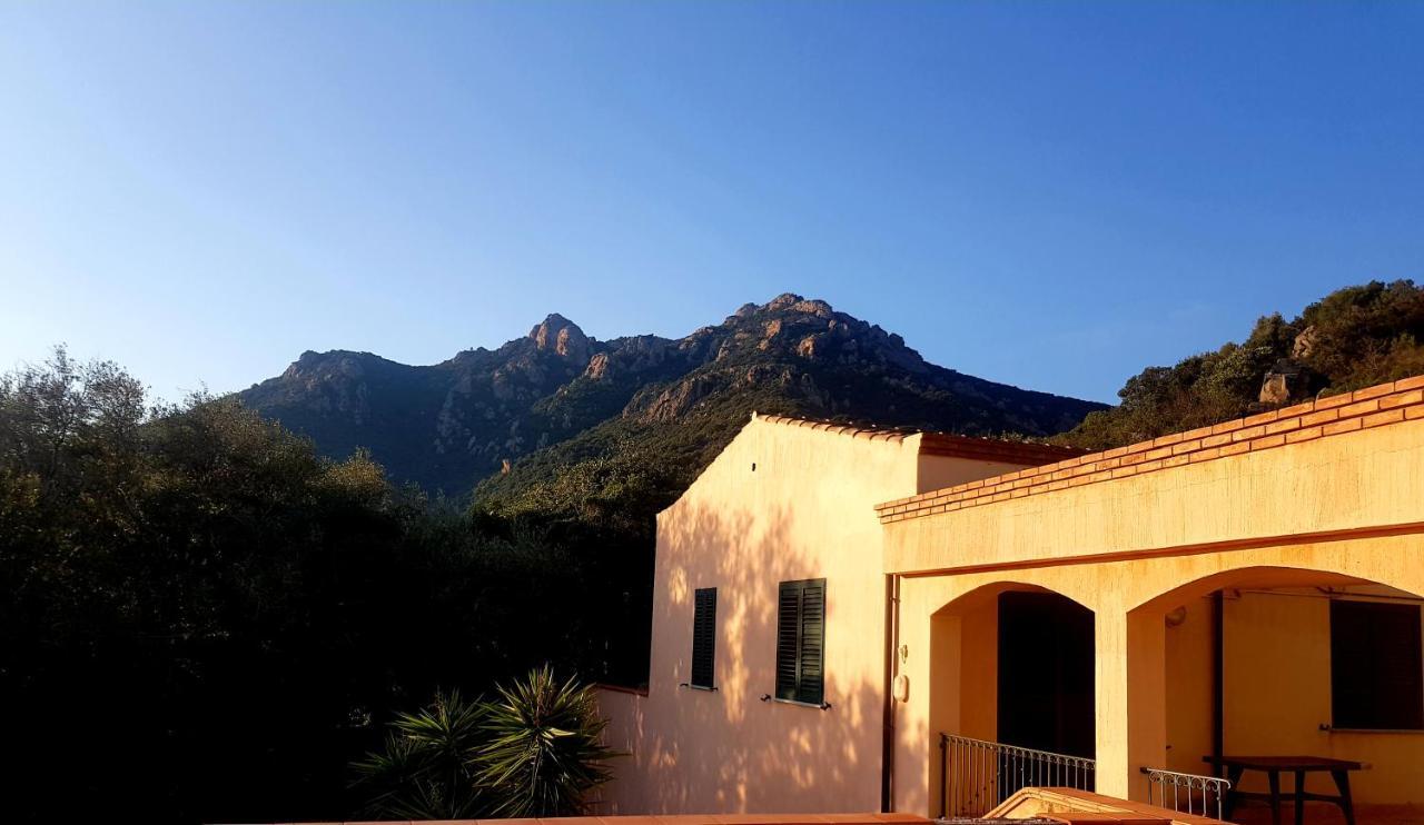 New Coccorrocci Campsite *
