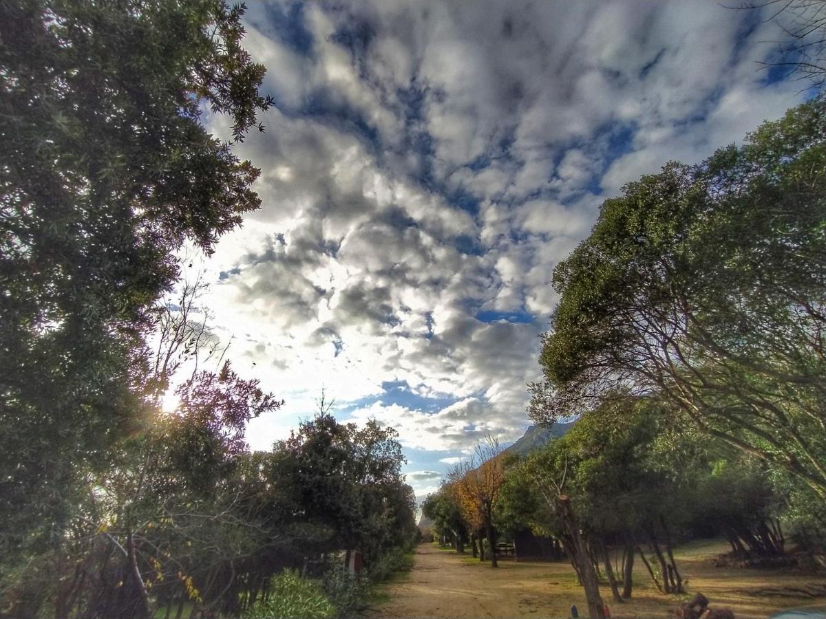 Campsite New Coccorrocci