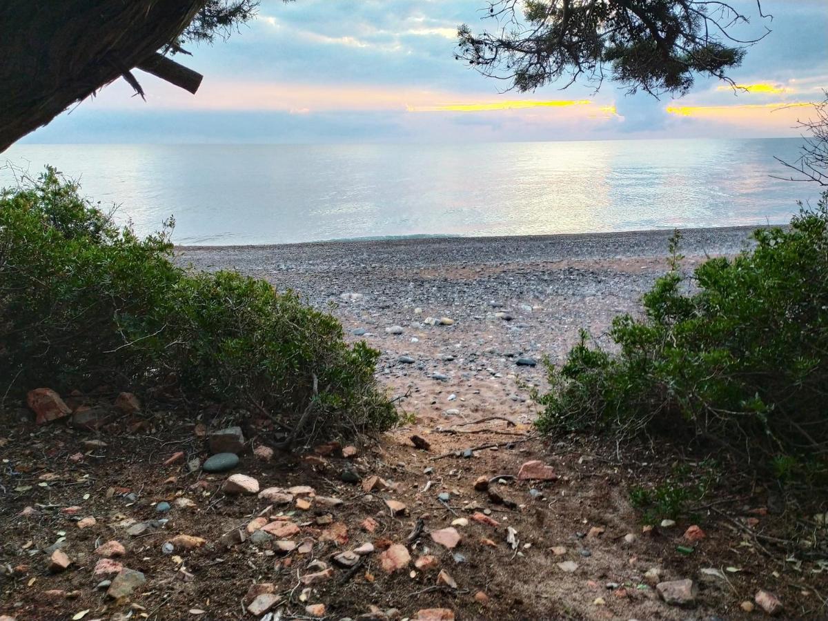 Camping New Coccorrocci *