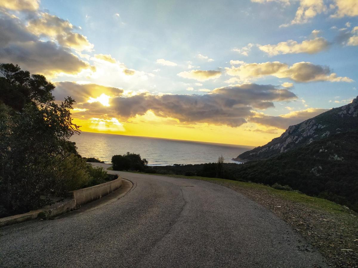 Campsite New Coccorrocci *