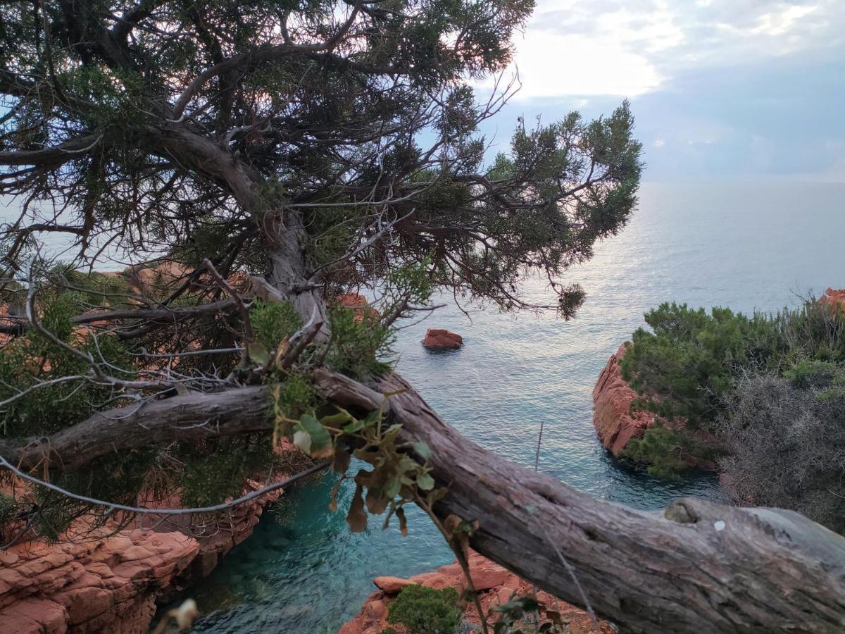 Campsite New Coccorrocci