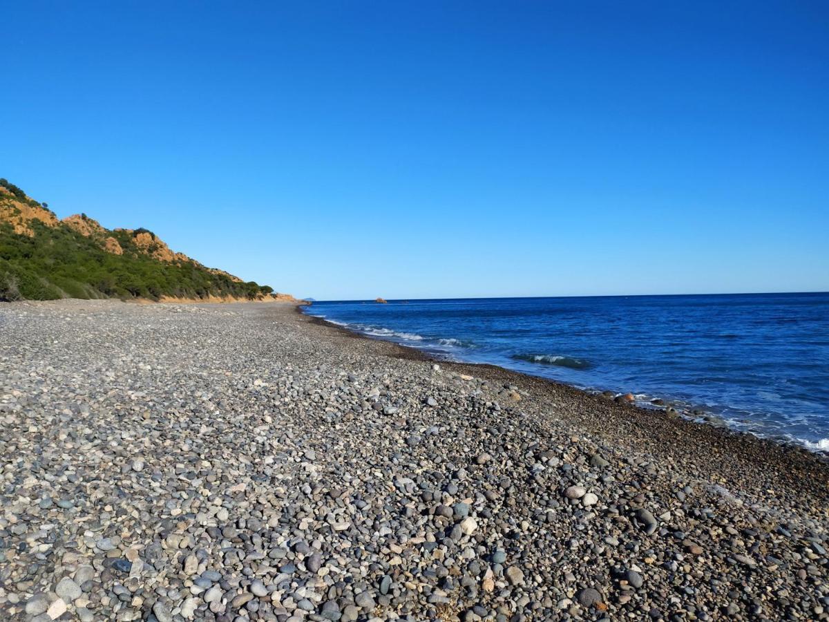 New Coccorrocci
