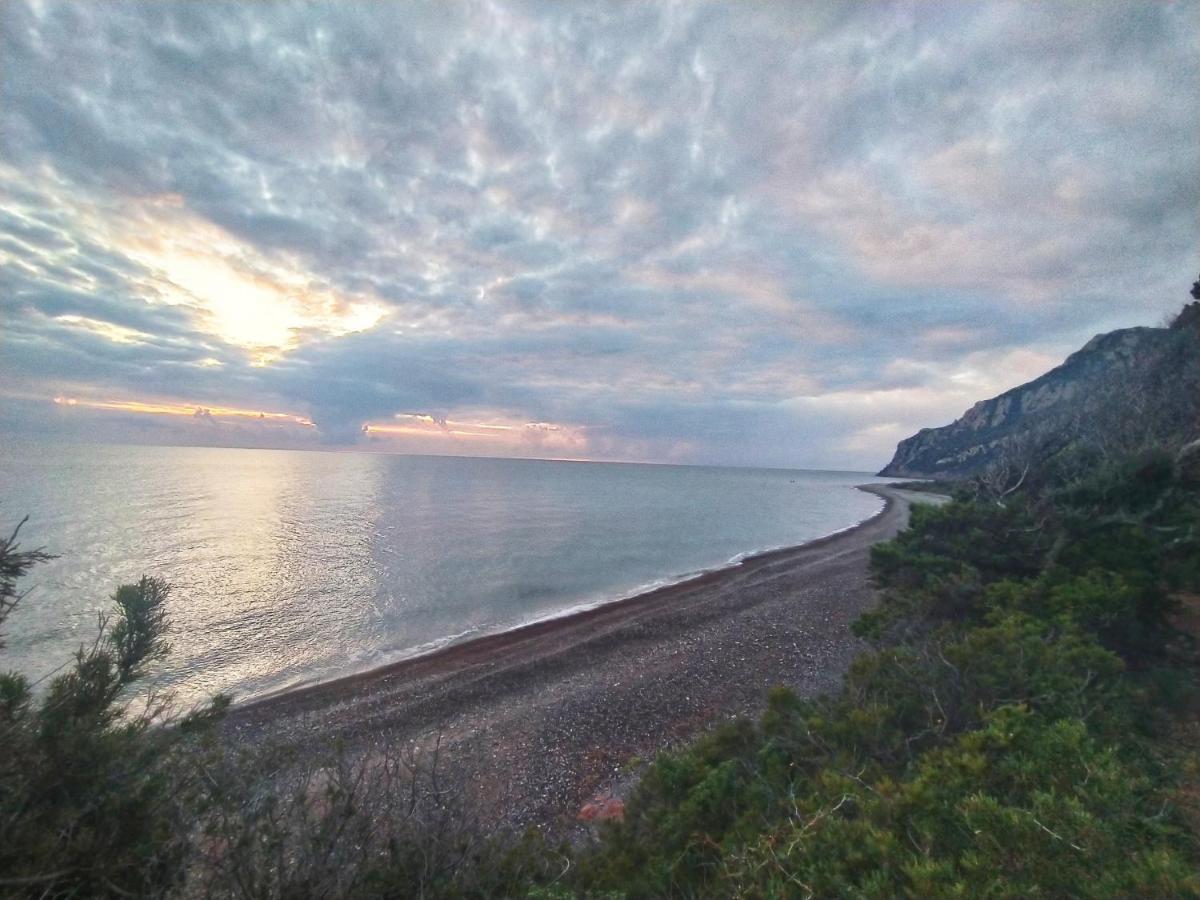 Campsite New Coccorrocci