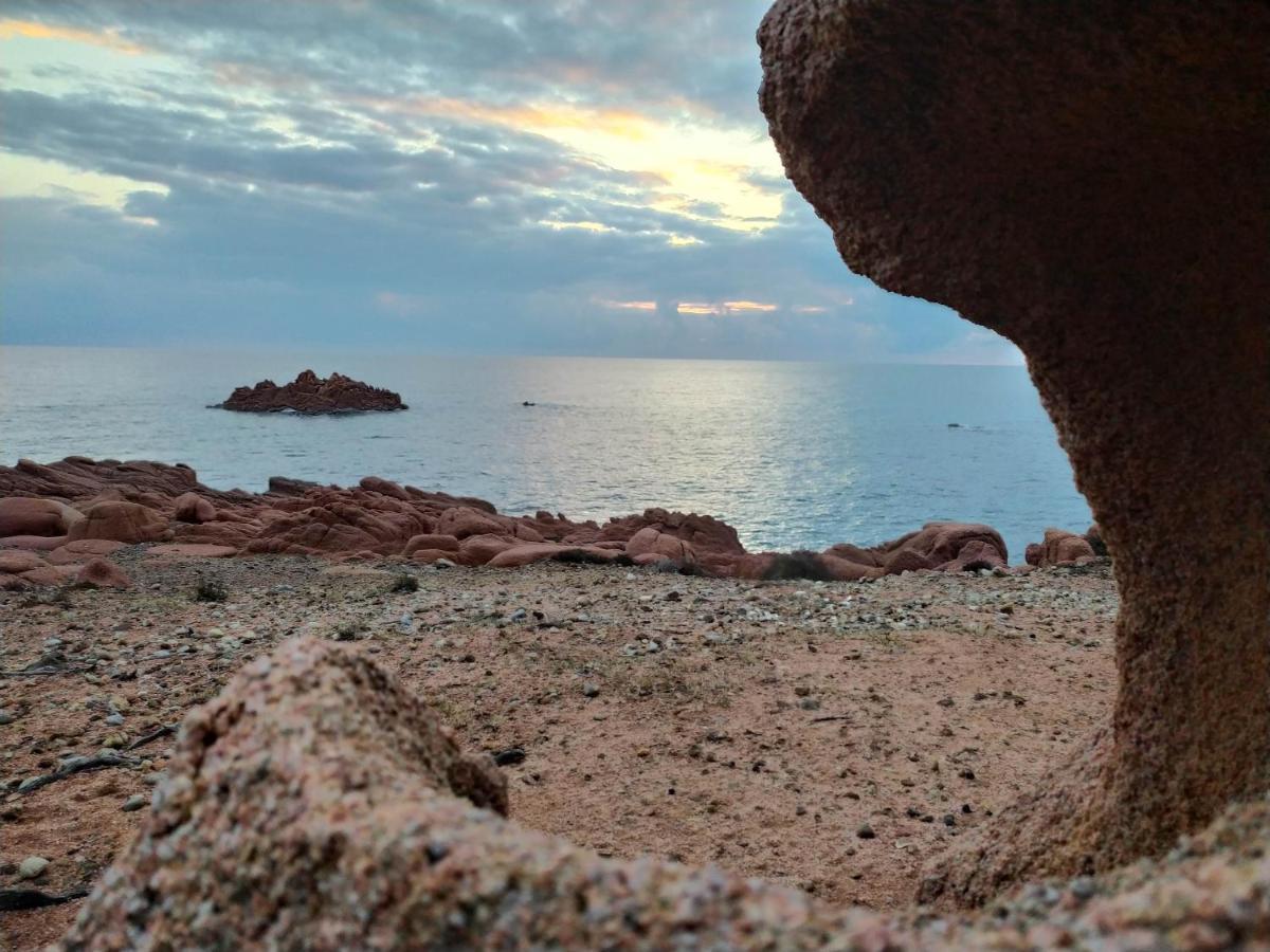 Campsite New Coccorrocci *