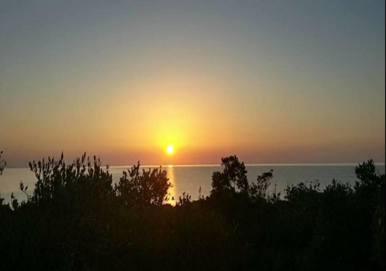 New Coccorrocci Campsite