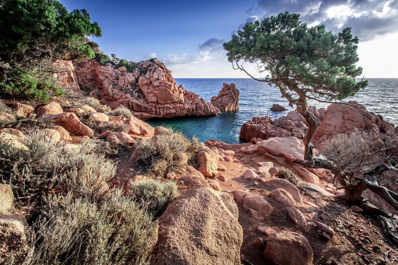 Campsite New Coccorrocci